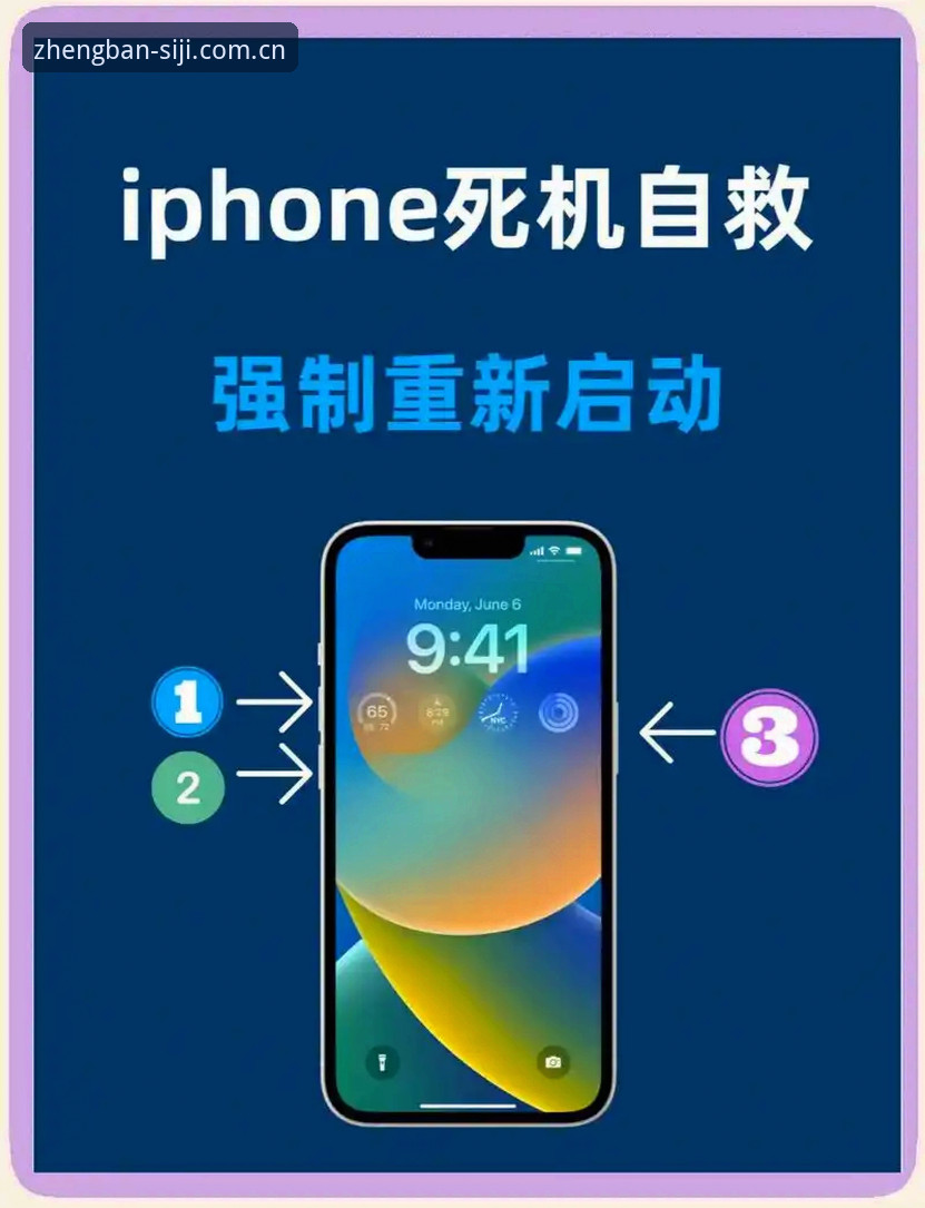 四季网站最新入口iOS版使用教程：三步直达正版平台